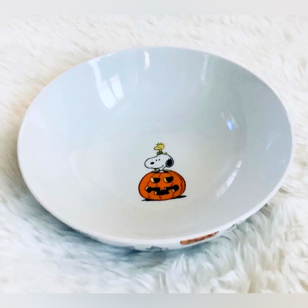 Snoopy peanuts 9.5” Round Serving Bowl